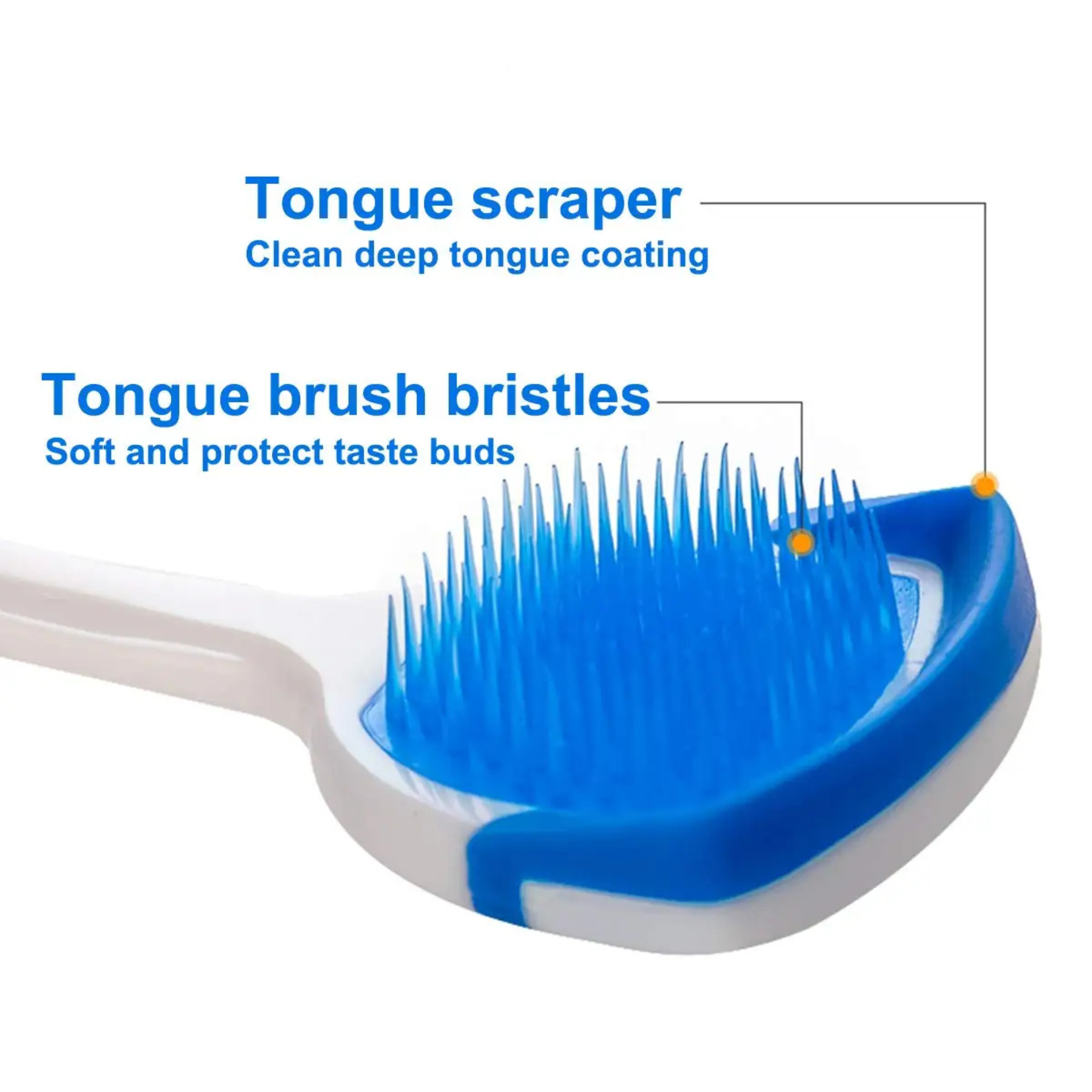 Fresh Breath Starts Here