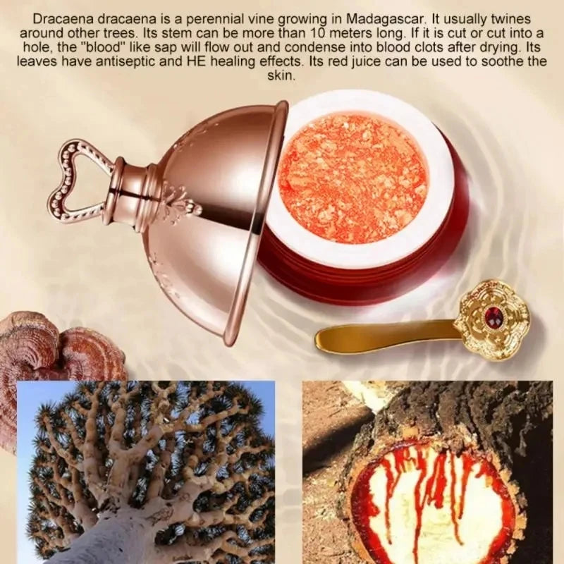Dragon’s Blood Retinol Cream